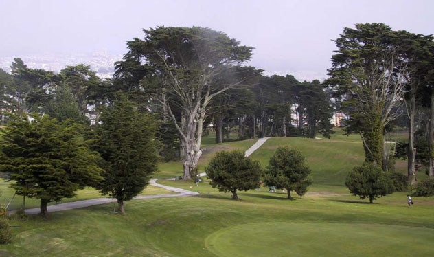 01_Trees