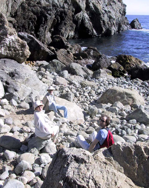 21_Beach_Combers