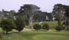 01_Trees