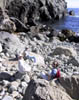 21_Beach_Combers
