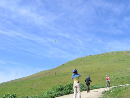 IMG_5728