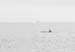 IMG_5634