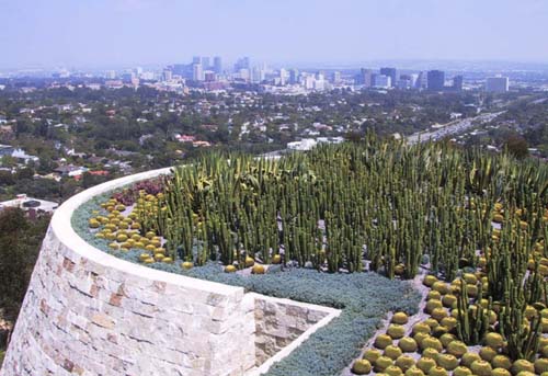15_Getty_Cactus