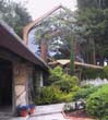 10_Glass_Chapel