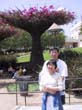 16_Jia_and_Yi