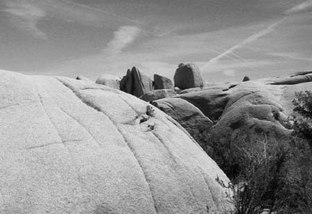 130-3052_IMG