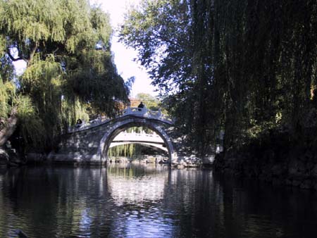 Summer_BackLake