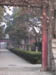 Ancient_Parking_Lot