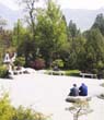 09_Resting_by_Bonsai