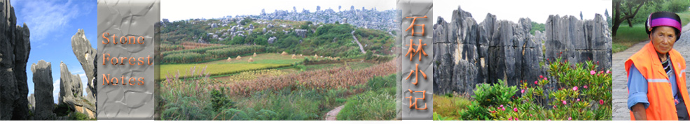 shilin title