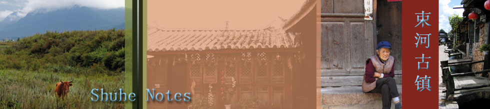 Shuhe title