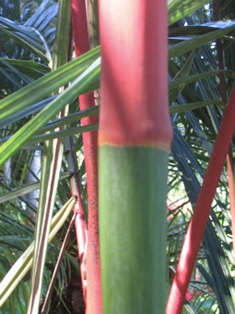 05_colors