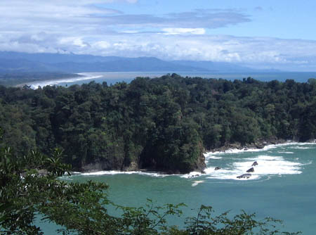17_tropical_big_sur
