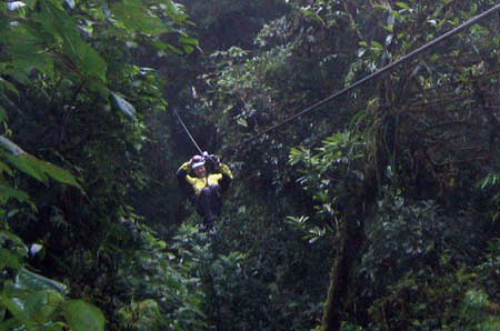 13_Matthew_Tarzan