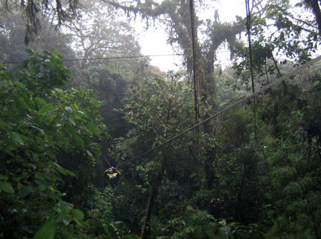 13_monkey