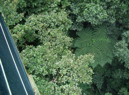 21_looking_down