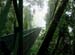 18_canopy_tour_bridge