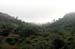 23_jungle_view_