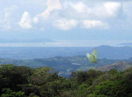 03_butterfly_bay