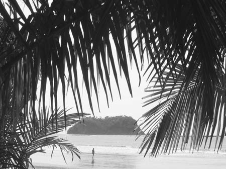 13_island