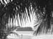 13_island