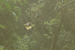 Monteverde