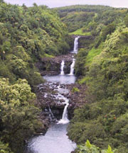 Previous
