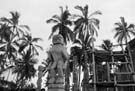 1_2_Puuhonua_o_Honaunau