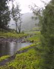 7_13_Stream_in_the_Valley