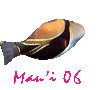 Mau'i 06