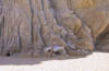 06_Under_the_Cliff