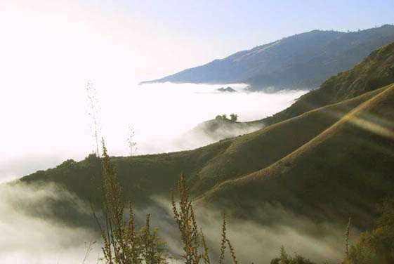 12_Sea_of_Clouds