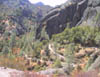 19_Rocks_Bushes_Trees