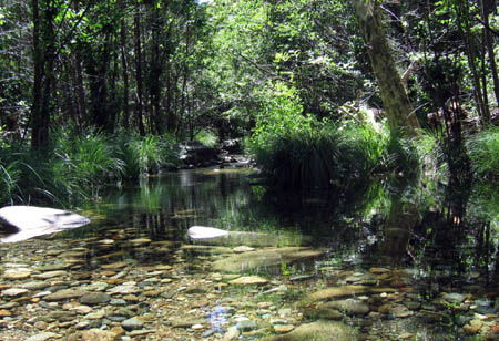 02_creek