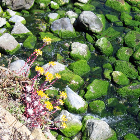 10_green_rocks