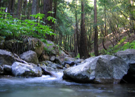 21_lime_kiln_creek
