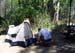 01_camping_ponderosa