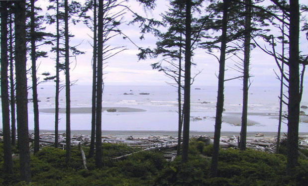 09_Ruby_Beach