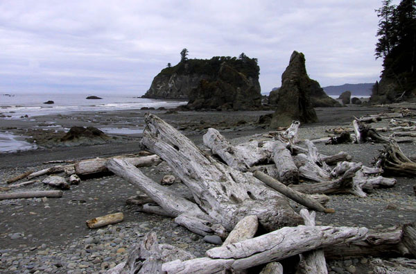 09_Ruby_Beach_Drift_Woods