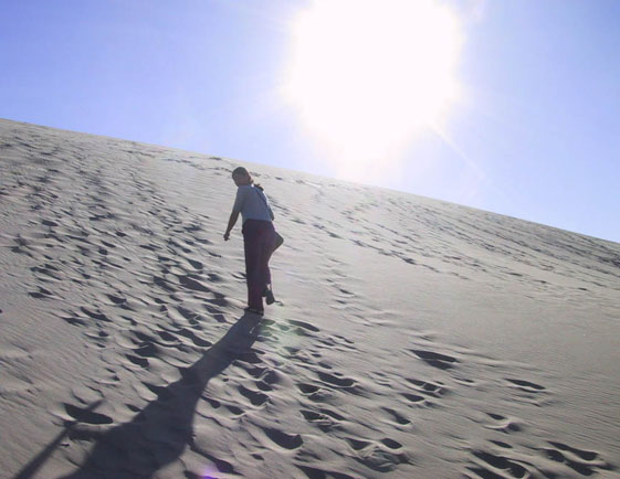 16_Dune_Beam