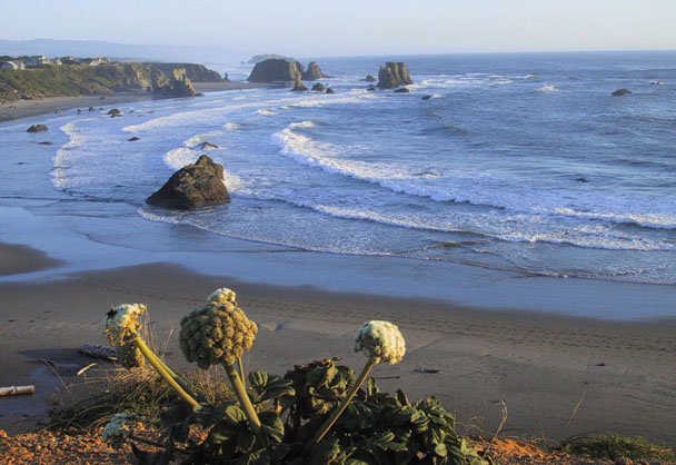17_Bandon_Beach