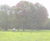 10_Early_Fall_Colour