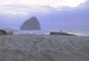 13_Cape_Kiwanda
