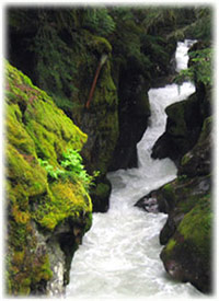 avalanche gorge