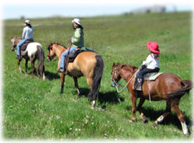 3 cowgirls