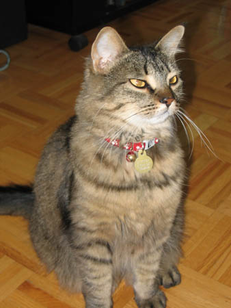 Toronto 2005 - 71