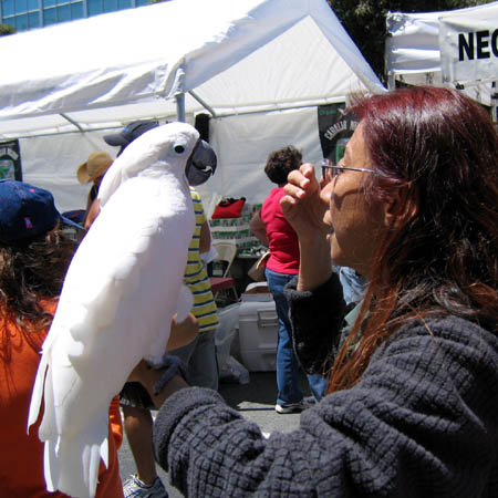 IMG_5912
